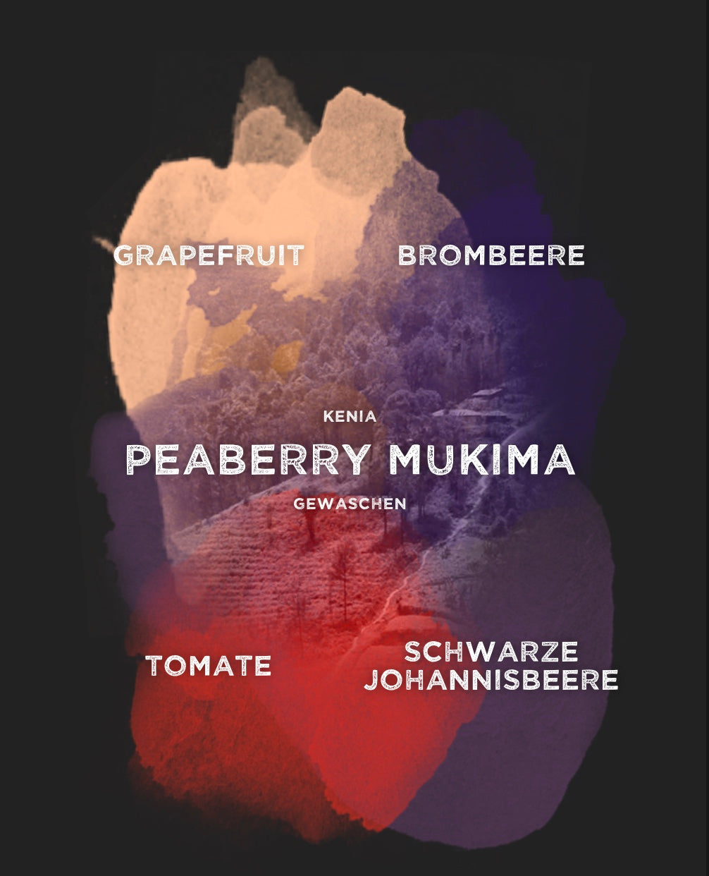Kenya Peaberry Top Mukima - ganze Bohne